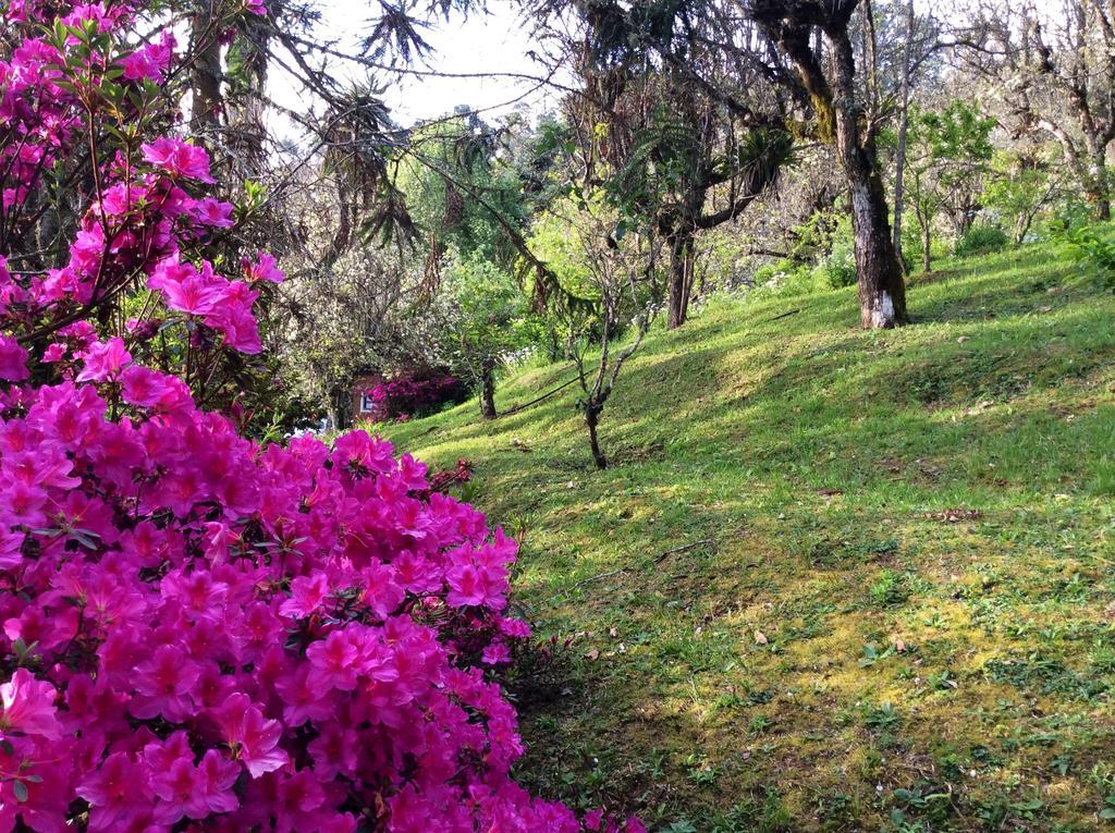 Sitio Nossa Senhora De Loreto Casa de hóspedes
